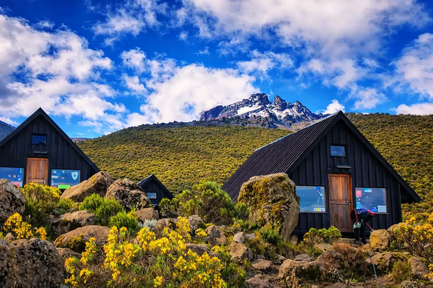 Kilimanjaro wooden alpine huts on the Marangu trail with Mawenzi backdrop