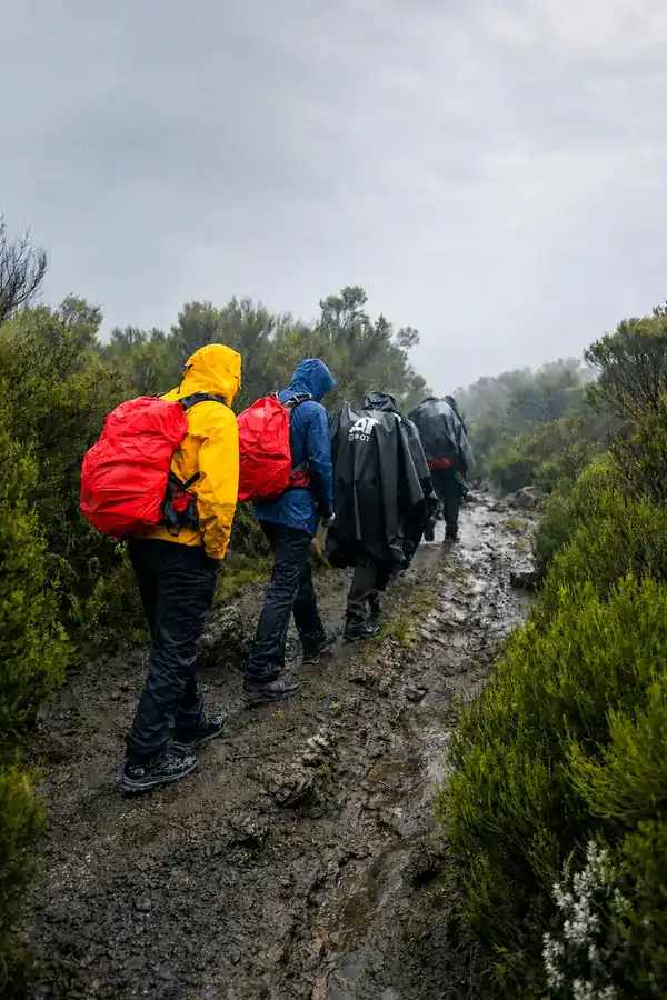 Trekkers ascending the rugged Barranco Wall on the Machame Route